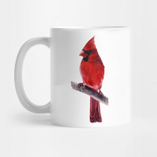 Cardinal - bird painting Mug